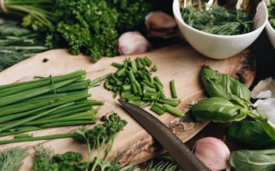 Cooking With Herbs